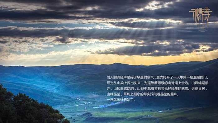 沪上最具烟火气的马拉松,又要来了!