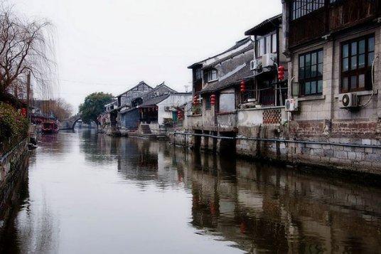 逃离天鹅森林